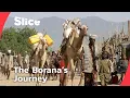 Download Lagu Into the “Mouth of the Devil”: A Borana Rite of Passage | SLICE | FULL DOCUMENTARY