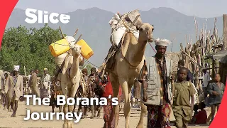 Into The Mouth Of The Devil A Borana Rite Of Passage SLICE FULL DOCUMENTARY 