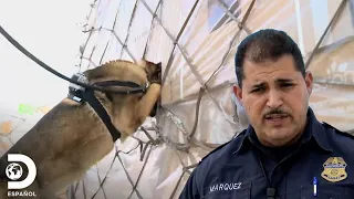 Supervisión cautelosa en busca de narcóticos | Aeropuerto 24/7: Miami | Discovery en español