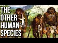 The Fantastic World of Other Human Species