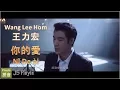 Download Lagu Wang Lee Hom 王力宏 - Ni De Ai 你的愛 Your Love (Pinyin+English Lyrics)