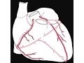Download Lagu Coronary circulation of the heart