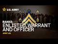 U S Army Ranks Explained Army 101