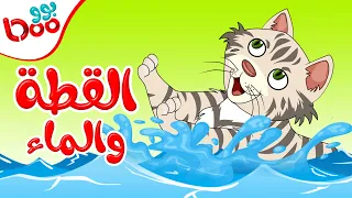 قصة القطة والماء قصص اطفال عربية جديدة 2020 قصص اطفال قبل النوم 