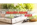 12 Healthy Herbs That Are Found in Bible Natural Healing Healthy Herbs