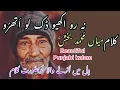 Download Lagu Na Ro Akhyo Dak Lo Athroo Kuj Nai Je Ban Da Roian || Kalam Mian Muhammad Bakhsh || Saiful Malook
