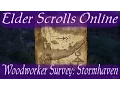 Woodworker Survey Stormhaven Elder Scrolls Online