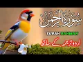 Download Lagu Surah RAHMAN (The Beneficent) سورة الرحمن Spellbinding QURAN with Translation \u0026 EXPLANATION Epi 488