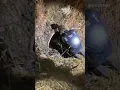 Deputy Crawls Into Pipe to Save Dog Hit By Car