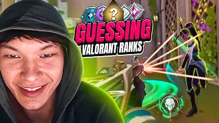 SINATRAA GUESSING VALORANT RANKS.. ????