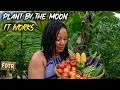 Planting Days For July Using The MOON Works