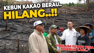 COKLAT BELGIA BERASAL DARI SINI..!!