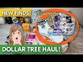 What s NEW at DOLLAR TREE Haul Store Walkthrough in Pennsylvania March 7 2026