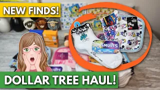 What s NEW at DOLLAR TREE Haul Store Walkthrough in Pennsylvania March 7 2026