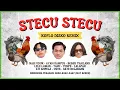 Download Lagu Faris Adam - Stecu Stecu (Koplo Disko Remix)