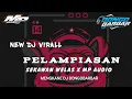 Download Lagu DJ PELAMPIASAN SEKAWAN WELAS X MP AUDIO