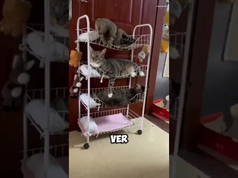 Esta cama para gatos es súper cómoda.