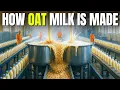 Hoe havermelk wordt gemaakt | Een kijkje in de opkomst van een plantaardige trend die miljarden d...