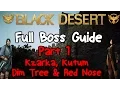 Black Desert Online World Boss Guide Part 1