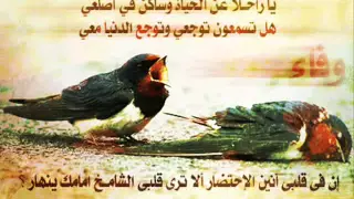 اول حب وآخر حب 