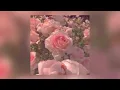 Mitski - Strawberry blonde || sped up