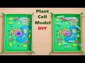 plant cell model 3d for school science fair project DIY howtofunda biology project still