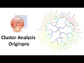 How to Draw a Cluster Analysis in OriginPro Biostatistics Statistics Bio7