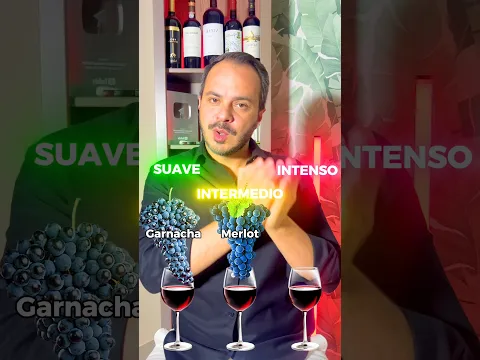 Cuerpos del vino #wine #vino bar