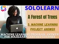 A forest of trees machine learning project answer ML programs I Sololearn free Certified Course
