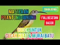 Download Lagu MASTERAN PIJANTUNG GUNUNG (TANPA IKLAN)