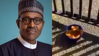 breaking juju pot dropped to threaten protesters where buhari is receiving treatment in the uk