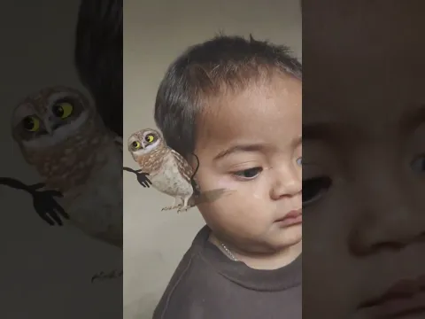 #shortvideo