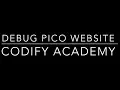 Debugging the Pico Website Replication