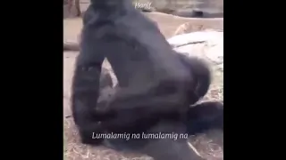 On Top