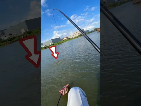 Fishing With Corn Bait in Clean River #fishing