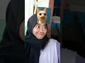 Download Lagu Jedag Jedug CapCut || TikTok Viral [ Meme Cat Test ]