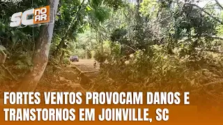 Ventos fortes em Joinville causam prejuízos e transtornos