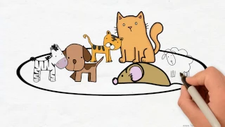 比 Comparison In Chinese 中文的比较 Chinese Grammar Simplified 201 