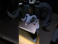 How I Made a 3D Printed Sheep Skull Using My Bambu Lab P1S