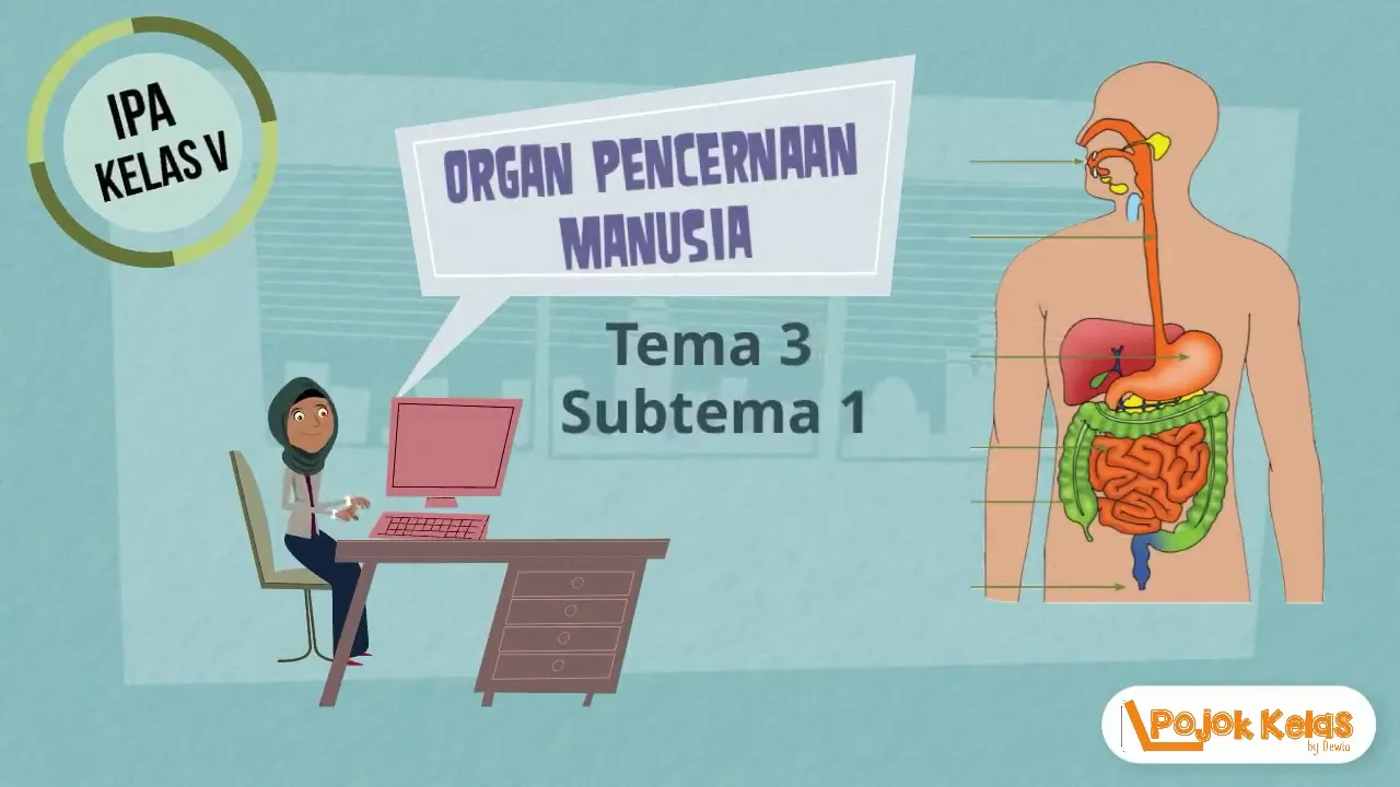 Sistem Pencernaan Manusia Tematik Kelas 5 SD Tema 3 Subtema 1