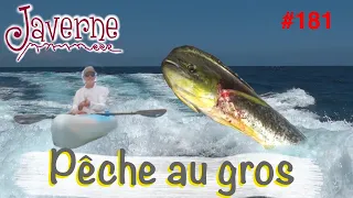 #181 Pêche au gros