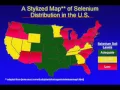 Understanding Selenium 101