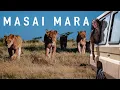 Download Lagu This Kenya Safari Will Blow Your Mind (Masai Mara)