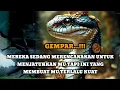 Lagu JIWA TERPILIH _ MEREKA SEDANG BERENCANA UNTUK MENJATUHKAN MU