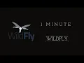 WildFly in One Minute Unleash Java Enterprise Power