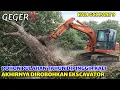 Lagu GEGER❗️AKSI EKSCAVATOR MEROBOHKAN POHON PULUHAN TAHUN❗️DIPINGGIR KALI GCC