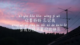 Download 【好好忘记我-颜人中】HAO HAO WANG JI WO-YAN REN ZHONG /Pinyin Lyrics, 拼音歌词, 병음가사/No AD, 无广告, 광고없음 MP3