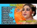 Download Lagu TARLING TENDUNG CIREBONAN DEMEN DEMEN SEPIRA FULL ALBUM CITRA NADA 2025