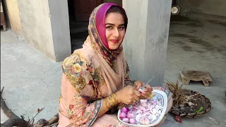 nano ghr iftari ki dawat ky liye tyari