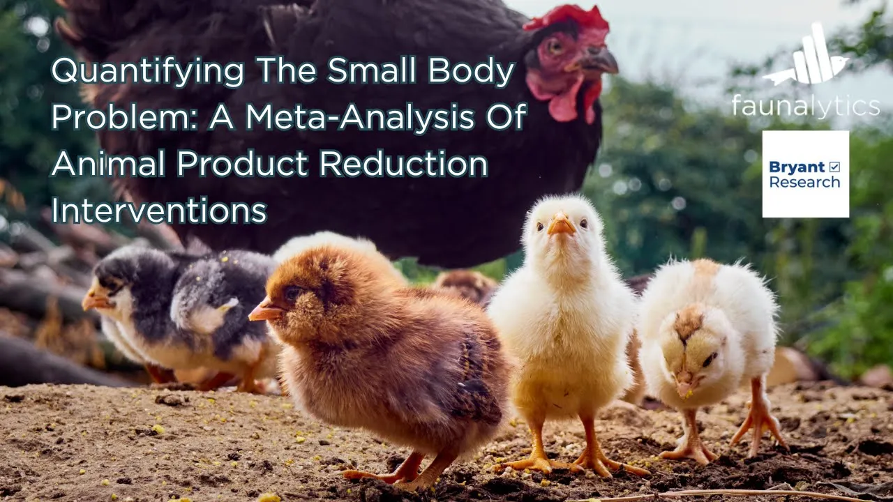 Quantifying The Small Body Problem Webinar